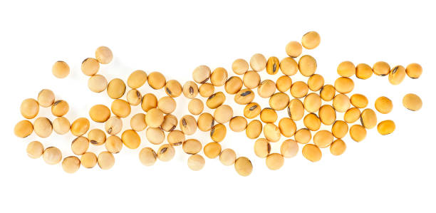 istock Organic soybeans isolated on a white background, top view. 1215784284