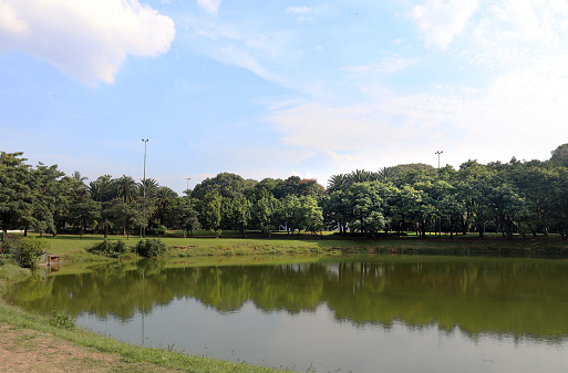 Pond in a scenic landscape with flowers and greenery almost like a painting