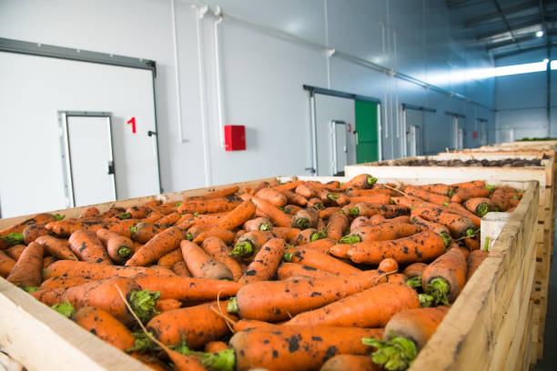 istock Fresh orange carrots in the box 1215785533
