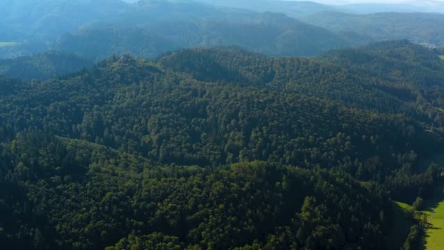 Aerial view of the black forest