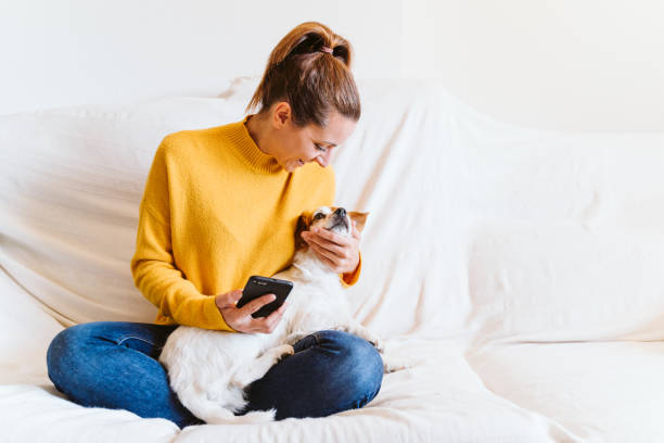 istock young woman using mobile phone, cute small dog besides. Sitting on the couch, wearing protective mask. Stay home concept during coronavirus covid-2019 1215787906
