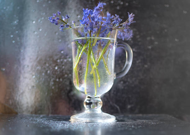 Still life of tender spring forest blue flowers