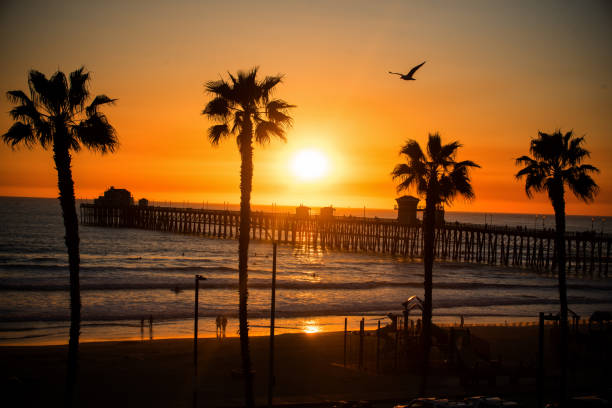 istock Perfect sunset pier San diego 1215789435