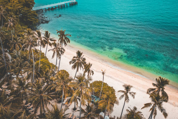 istock Phuket beach aerial view from above in Thailand 1215792036
