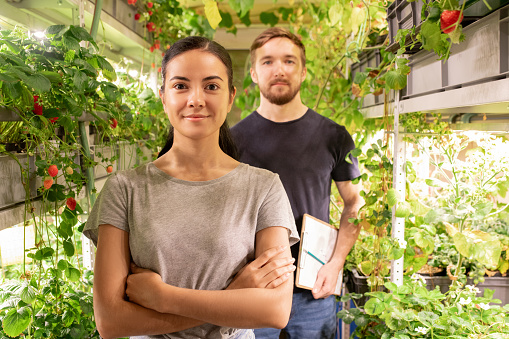 Young employees of greenhouse standing in aisle between beery plants and looking at camera