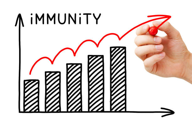 Building Herd Immunity Graph Concept Hand drawing a graph showing the process of building Herd Immunity or Community Immunity. Concept about a form of indirect protection from contagious infectious disease outbreak. herd immunity photos stock pictures, royalty-free photos & images