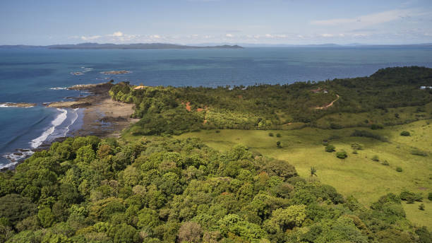 istock panama jungle in the back ocean in the front 1215800144