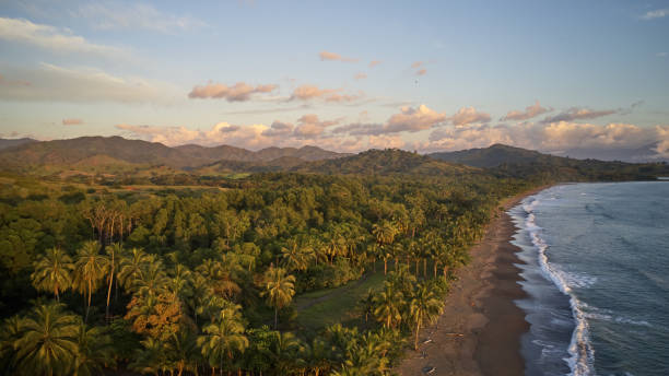 istock panama jungle in the back ocean in the front 1215800294