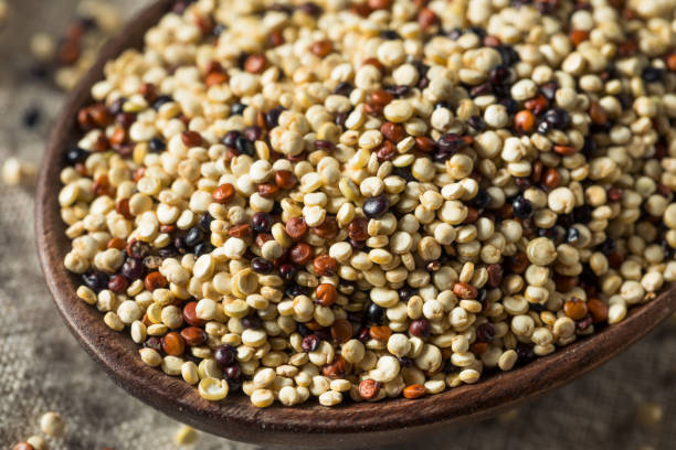 istock Raw Tricolor Organic Quinoa Kernals 1215800413