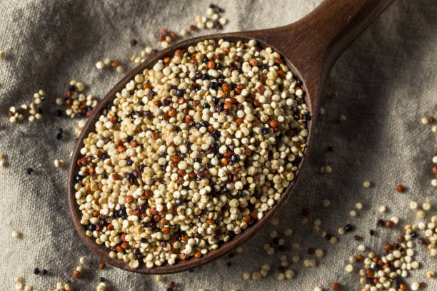 istock Raw Tricolor Organic Quinoa Kernals 1215801451