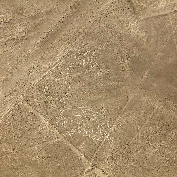 istock Nazca or Nasca mysterious lines and geoglyphs 1215802165