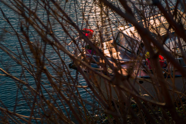 Yacht floating on the rippled surface of the sea while being moored at shore seen between the bare branches of a tree in springtime