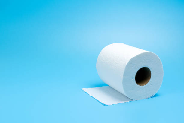 istock Single toilet paper roll 1215805950