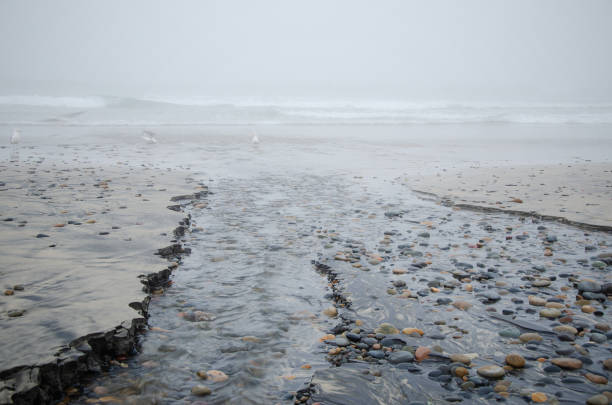 Morning fog over Moonlight Beach