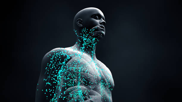 istock Immune system defends the body against infections and diseases 1215808780