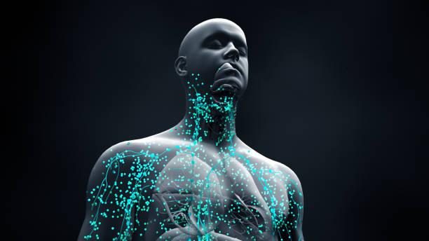 istock Immune system defends the body against infections and diseases 1215808783