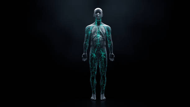 istock Immune system defends the body against infections and diseases 1215808904