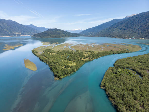 foce del fiume petrohue nel cile meridionale - river aerial view delta rainforest foto e immagini stock