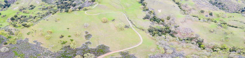 A trail meanders through the green hills of the East Bay in Northern California. This open area, east of San Francisco Bay, is green in the winter due to rain and golden during the summer.