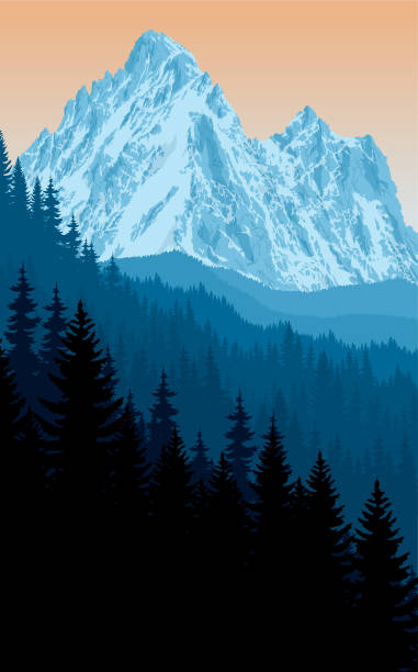 illustrations, cliparts, dessins animés et icônes de paysage de montagne des alpes boisée à l’europe suisse - himilaya