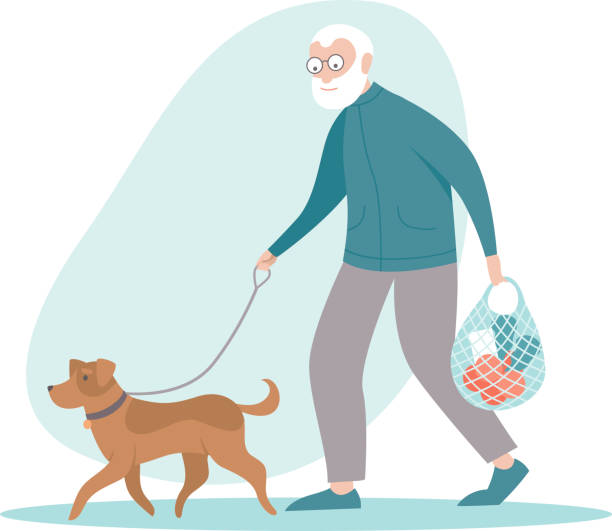 illustrazioni stock, clip art, cartoni animati e icone di tendenza di uomo anziano che cammina per fare la spesa con il suo cane - bag senior adult outdoors friendship