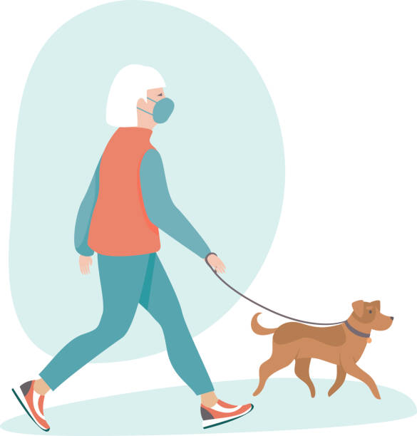 illustrazioni stock, clip art, cartoni animati e icone di tendenza di donna anziana che indossa una maschera medica protettiva che cammina con il suo cane - action vitality people cheerful