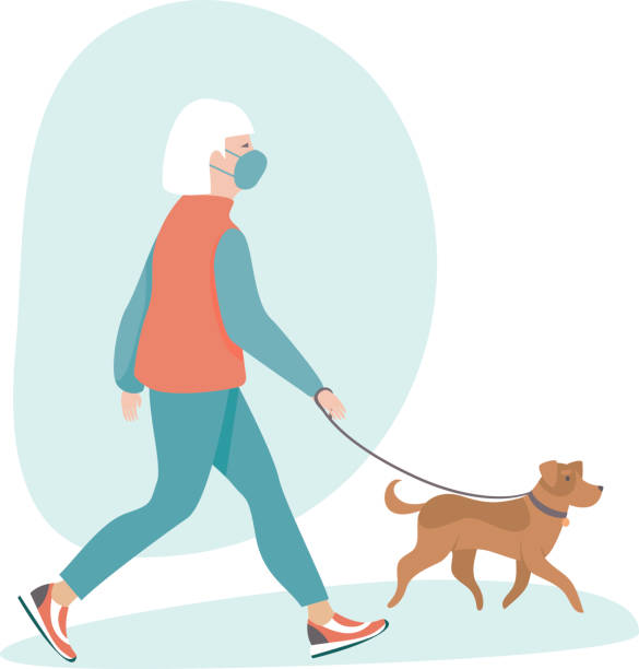 Senior woman wearing protective medical mask walking with her dog Senior woman wearing protective medical mask walking with her dog. Flat vector illustration for coronavirus COVID-19 outbreak distant love stock illustrations