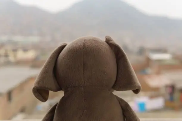 stuffed elephant in the window