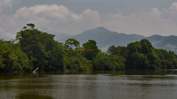 istock Mountain view in La Ceiba bay 1215816901