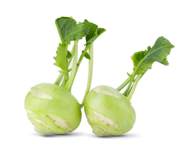 fresh kohlrabi with green leaves on isolated white backround. full depth of field - kohlrabi turnip kohlrabies cabbage imagens e fotografias de stock