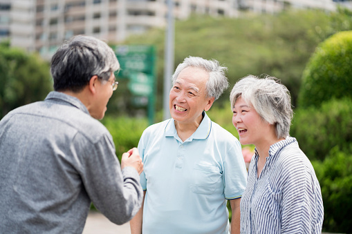 Group of elderly Asian friends spending their free time in a natural parkland