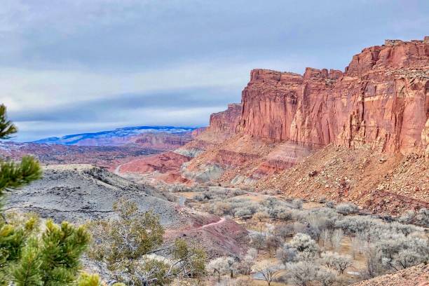 istock Fruita Cliffs in Capitol Reef National Park 1215827207