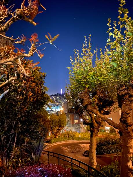 lombard "crooked" street view at night - san francisco county lombard street street house photos et images de collection