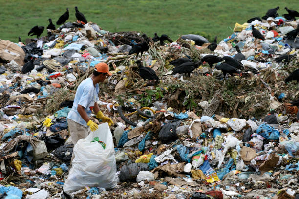 porto Seguro, bahia / brazil - may14, 2008: a person is seen is seen turning trash to collect recycling material at the sanitary landfill in the city of Porto Seguro.\
