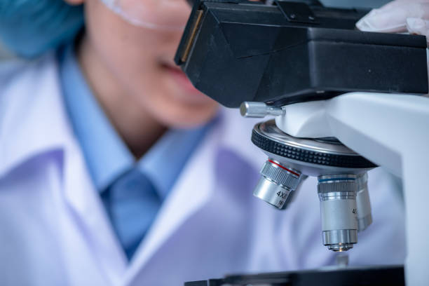 istock Closeup of Scientific microscope data analysis in the laboratory 1215832194