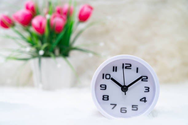 istock White alarm clock and flower in vase on table 1215835727