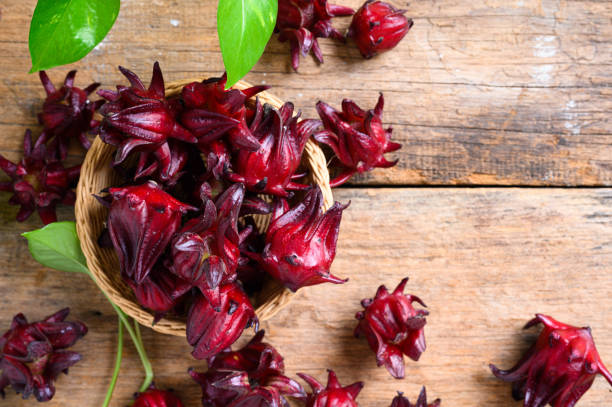 istock Hibiscus sabdariffa or roselle fruits 1215841541