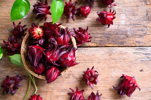 istock Hibiscus sabdariffa or roselle fruits 1215841546