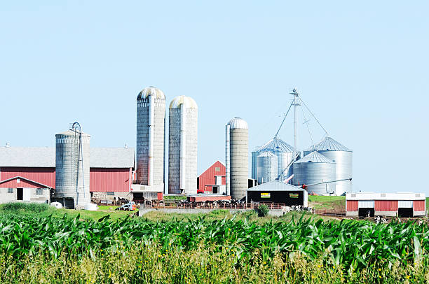 istock Farm Buildings 121584173