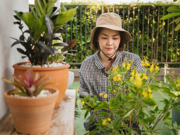 istock Garden workers working in a greenhouse plantation 1215844874