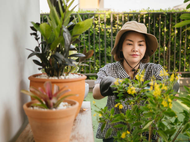 istock Garden workers working in a greenhouse plantation 1215844895