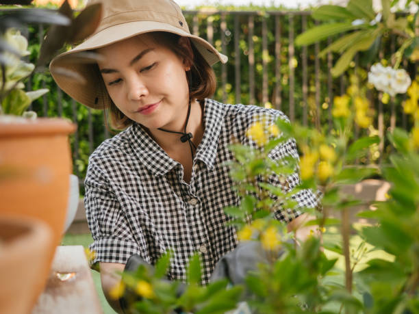 istock Garden workers working in a greenhouse plantation 1215844907