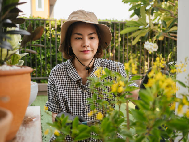 istock Asian female gardening on weekends at front yard at home. 1215844909