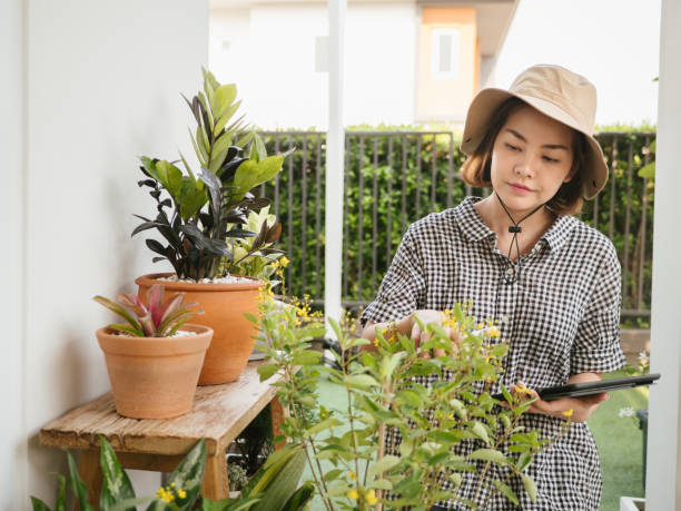 istock Young woman farmer working in the greenhouse using a digital tablet. 1215844928