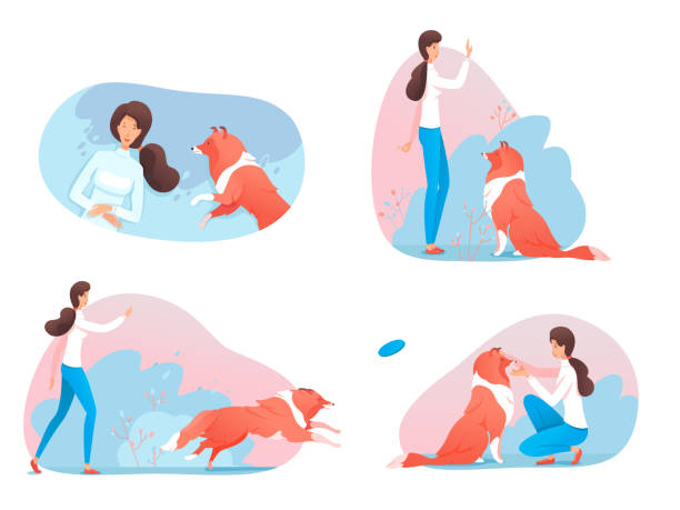 kobieta postać szkolenia psa w parku scena zestaw - action dog outdoors animal trainer stock illustrations