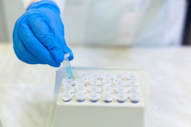 istock Laboratory worker puts samples into a tray making analysis for immunity viruses in a medical laboratory. COVID-19. COVID Coronavirus 1215845874