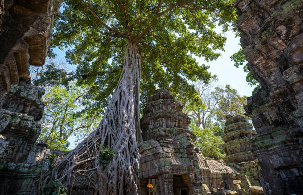istock Angkor Thom, Siem Reap/Cambodia 1215846906