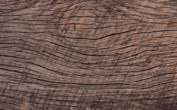 istock wood background texture, abstract, nature background 1215848520
