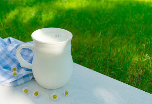 A cup of fresh milk and white daisies on a natural background of green grass.