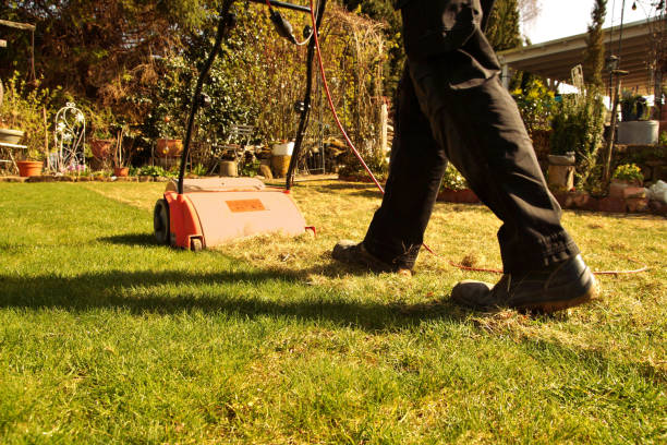 Aeration with a scarifier. Lawn thatcher in action. Using a scarifier in the garden to improve quality of the lawn in spring. a worker man, Gardener Operating Soil Aeration Machine on Grass Lawn. The gardener works outside taking care of plants. Man working with Lawn Aerator scarification stock pictures, royalty-free photos & images